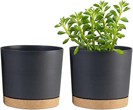 Plant Pots Plastic Flowerpots with Drainage Holes Removable Saucer Decorative Planters 2Pcs Dark Grey 6.5 Inch.Plant Pots Planters for Indoor Outdoor Plants Nursery Pot