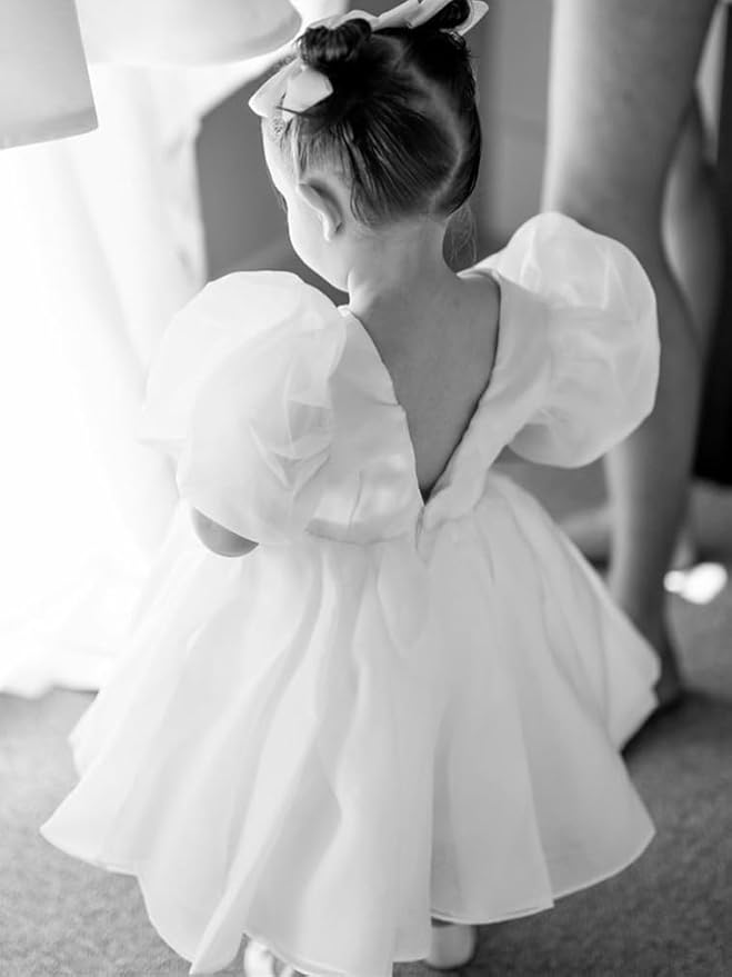 2Bunnies Girl Baby Toddler Puff Sleeve Organza Tulle Tutu Twirly Babydoll Flare Ball Gown Princess Flower Girl Dress