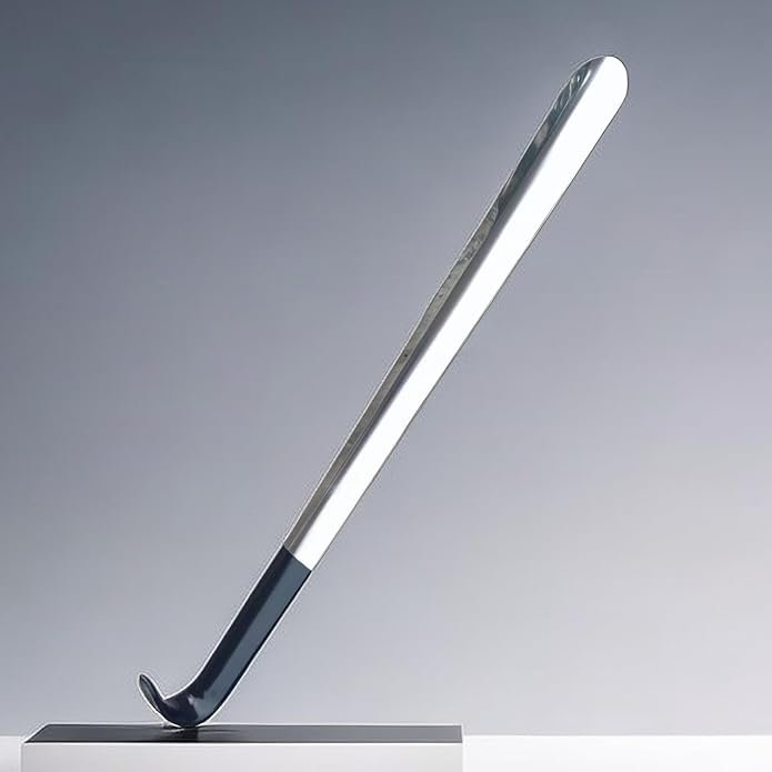 Extral Long handled Shoehorn, 16.5" Stainless Steel Long Shoe Horns for Seniors, Kids, Women, Men, Boots and All Shoes