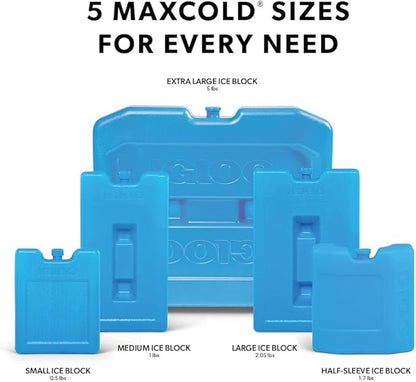 Igloo Maxcold Ice Blocks, Reusable