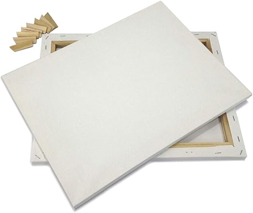 EDM Lot 2 Artist Canvas 8x10 Blank Pre-Stretched Framed Cotton Double Gesso