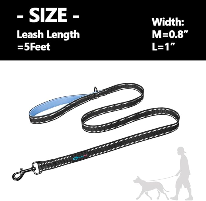 PHOEPET 5 Feet Dog Leash - Dual-Side Reflective - Soft Padded Handle - Fit for Walking, Training or Exploring Hiking, Camping (Baby Blue)