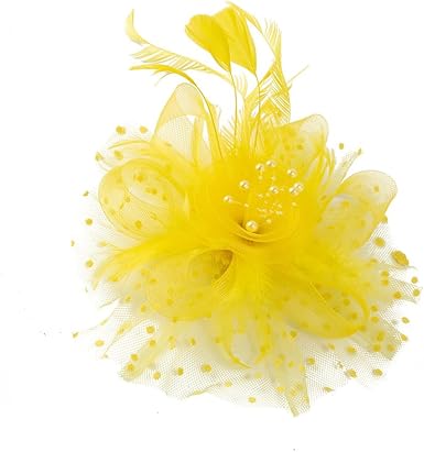 Kentucky Derby Hat for Women 2025 Fascinators Hat Elegant Mesh Feather Headband with Clip Tea Party Hats