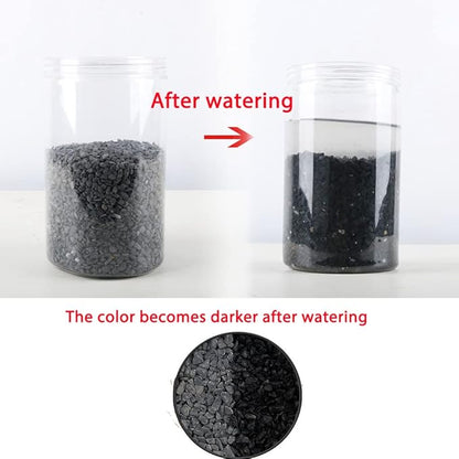 Avalution3 6-9 mm Natural Black Gravel 3LB, Polished Stone Succulent Plant Bonsai Stone DIY Plant Rock for Garden Outdoor  Indoor Vase Gravel Aquarium Fish Tank Fairy Gardening Filling Decoration