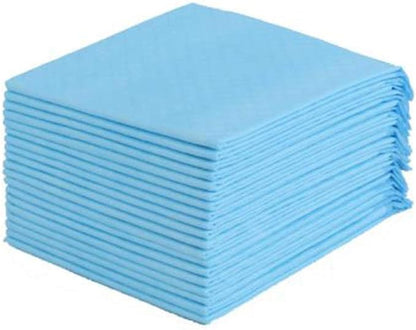 WOIWO 20 PCS Dog Pet Thickening Pad Dog Deodorant Absorbent Diaper Disposable Grooming Pad Pet Cleaning Product Diaper