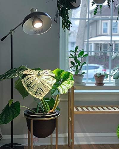 Aspect VitaN LED Grow Light Bulb Full Spectrum for Indoor Plants 12"-48" Below Light - DIMMABLE - 20 Watt-3000K SOLTECH Solutions - Black and White Available (Black)