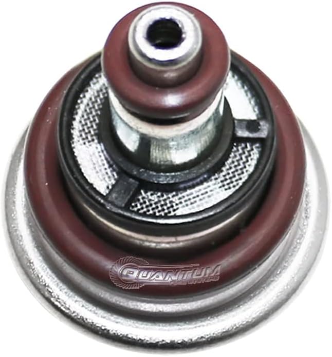 QFS OEM Fuel Pressure Regulator Replacement for Yamaha WR250F, WR250FK, WR250R, WR250X, WR25R, WR450F, XT250, YZ250, YZ250F, YZ250FE, YZ250FX, YZ450, YZ450F, YZ450FB, YZ450FB, YZ450FB,