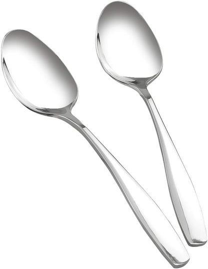 Ggbin 6 Pieces Stainless Steel Dinner Buffet Serving Spoons, 9.75 Inches