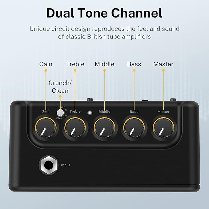 Donner Mini Guitar Amp Small Electric Amplifier 5W Portable, Practice Guitar Combo Amp DA-10