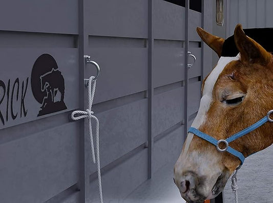 Replaces Horse Trailer Ties Loop 2" I.D Aluminum Bolt-On Lashing Rope Horse Tie Down Ring (2 pcs) Trailer d Rings Loop Ropes for Trailers Horse Parts tie Ring Ties Blocker Horses