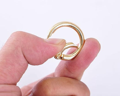 VanEnjoy 2/4/10/18/40 pcs O Ring for Purse Strap,1 inch Spring Rings for Handbag and Keys,2PCS Gold Hardware (Ï†1 IN-2PCS, Gold)