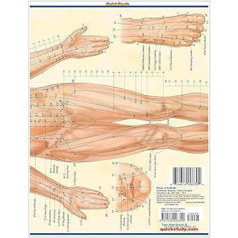 Acupressure Laminated Reference Guide (QuickStudy Academic)