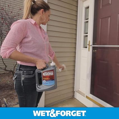 Wet Forget 803064 Miss Muffet's Revenge Indoor and Outdoor Spider Killer with Attached Sprayer, 64 Fluid Ounces, Ready to Use