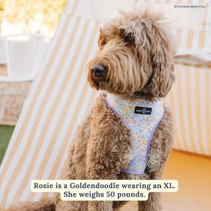 Lucy & Co. Reversible Dog Harness - Water-Repellent Neoprene, Dual-Print Design, Easy Swap Style, Adjustable Comfort Fit - Among Wildflowers Reversible Harness - Medium