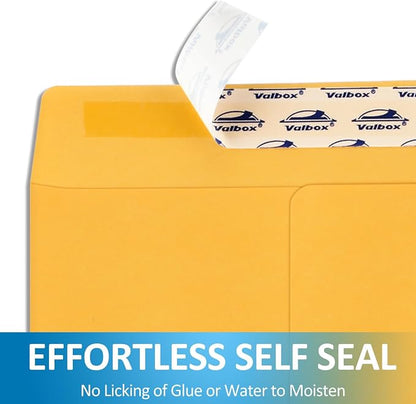 9x12 Self Seal Security Catalog Envelopes 15 Count Brown Kraft Envelopes with Peel and Seal Flap for Mailing, Organizing and Storage