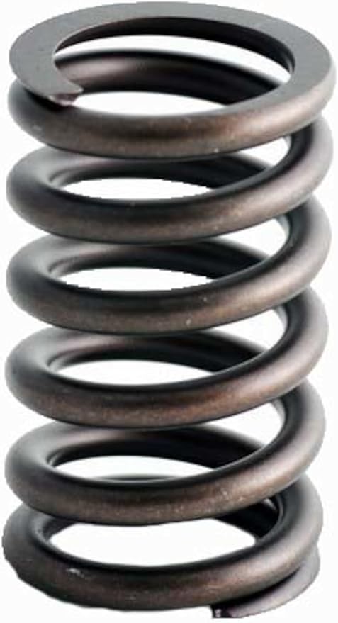 Valve Springs (4 Count)  Compatible with 94-14 GMChevrolet 4.3L 5.0L 5.7L