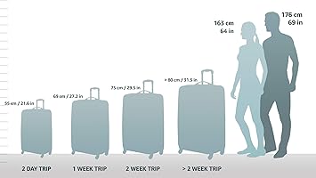 Rockland Expandable Spinner Carry On, Black, 19-Inch