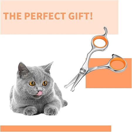 1Pc Professional Pet Hair Scissor Stainless Steel Durable Safety Rounded Tips Cat Dog Hair Cutting Tools Pets Grooming Scissors