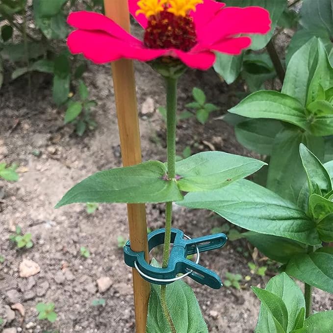 58PCS Garden Plant Supports Clips, 2 Sizes 19 Large/39 Small) Adjusting Reusable Plant Clips for Supporting Stems of Flower Vine Vegetables Tomatoes Climbing