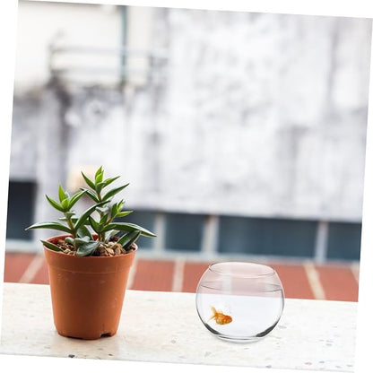 Yardwe Glass Fish Bowl Transparent Hydroponic Plant Container Bubble Vase for Home Decor Centerpiece Display and Compact Design for Spaces (pack 2)