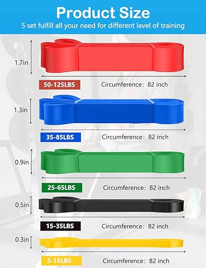 Pull Up Bands, Resistance Bands, Pull Up Assistance Bands Set for Men  Women, Exercise Workout Bands for Working Out, Body Stretching, Physical Therapy, Muscle Training
