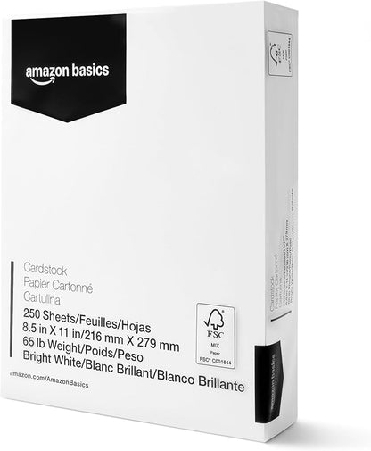 Basics Cardstock Paper, 8.5" x 11", 65 lb/176 gsm, 96 Bright White, 250 Sheets