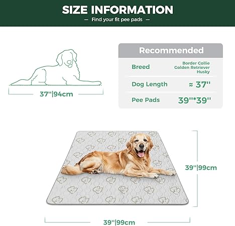 FXW Washable Pee Pads for Dogs, Puppy Pads with Super Absorbent, Specifically Designed for Potty Training, Square, 39" x 39", 1 Pack