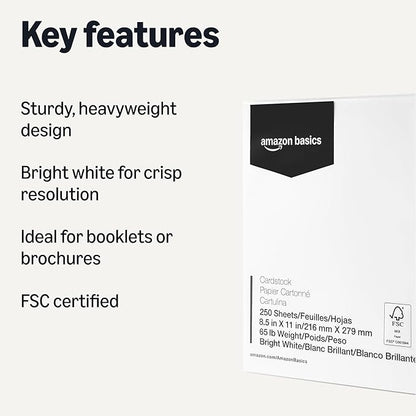 Basics Cardstock Paper, 8.5" x 11", 65 lb/176 gsm, 96 Bright White, 250 Sheets