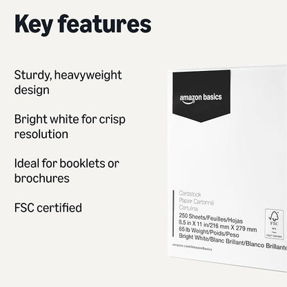 Basics Cardstock Paper, 8.5" x 11", 65 lb/176 gsm, 96 Bright White, 250 Sheets