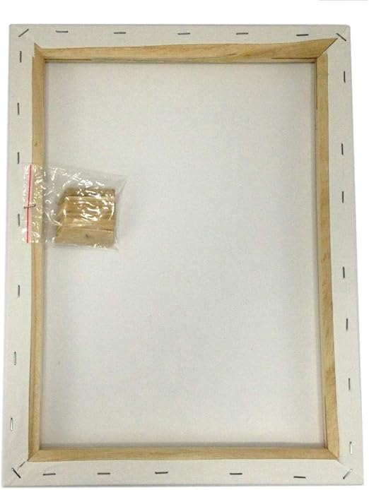 EDM Lot 2 Artist Canvas 8x10 Blank Pre-Stretched Framed Cotton Double Gesso