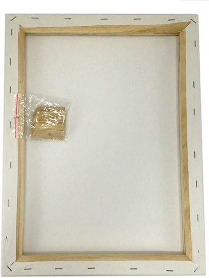 EDM Lot 2 Artist Canvas 8x10 Blank Pre-Stretched Framed Cotton Double Gesso