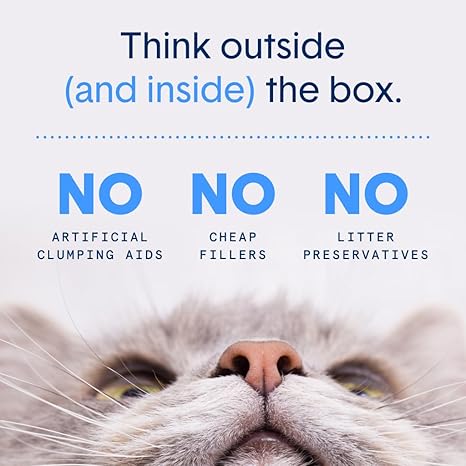 Boxie Probiotic 40 Day Natural Odor Control Cat Litter, 28lb Clumping Clay Kitty Litter