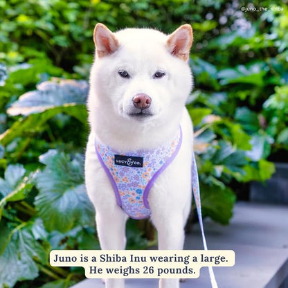 Lucy & Co. Reversible Dog Harness - Water-Repellent Neoprene, Dual-Print Design, Easy Swap Style, Adjustable Comfort Fit - Among Wildflowers Reversible Harness - Medium