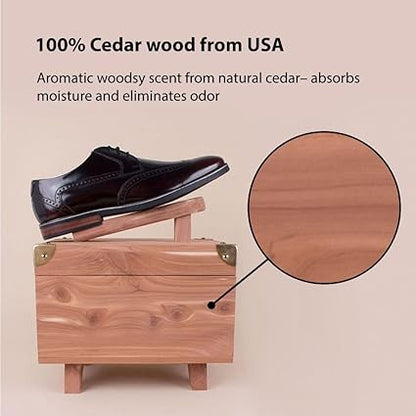 FootFitter Grand Cedar Valet Storage Box  Horsehair Shoe Shine Brush Set