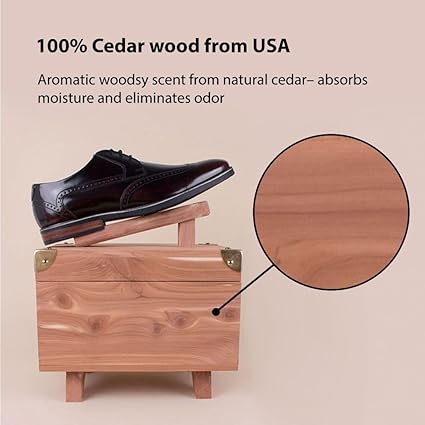 FootFitter Grand Cedar Valet Storage Box  Horsehair Shoe Shine Brush Set