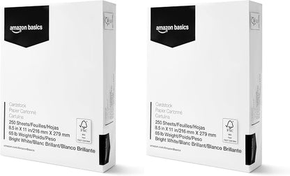 Basics Cardstock Paper, 8.5" x 11", 65 lb/176 gsm, 96 Bright White, 250 Sheets (Pack of 2)
