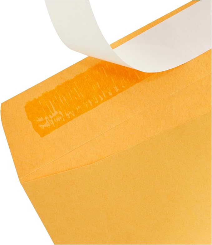 Basics Catalog Mailing Envelopes, Peel and Seal, 10x13 Inch, Brown Kraft, 100-Pack