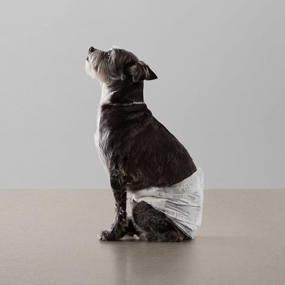 Basics Male Dog Wrap, Disposable Male Dog Diapers, Small, Pack of 30, White