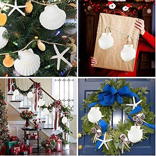 6 PCS Large Scallop Shells 4-5 inch Natural White Scallop Shells from Sea Beach for DIY Craft Decor