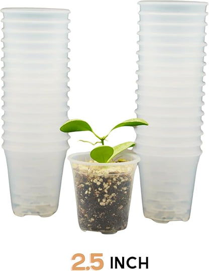 Clear Nursery Pots - 2.5 Inches (Pack of 40) | Nursery Pots | Clear Propagation Pots | Garden Pots | Clear Sturdy Pots | Transparent Pots