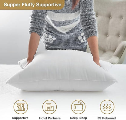 Acanva Bed Sleeping Extra-Soft Sham Down Alternative Pillow Insert, 1 Count (Pack of 1), White