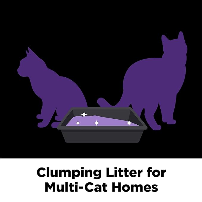 ARM  HAMMER Clump  Seal SLIDE Platinum Multi-Cat Clumping Litter, Easy Clean, Superior Odor Control, 37 Lbs