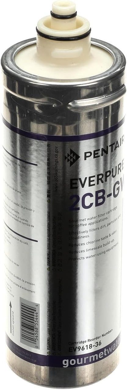 Everpure Cartridge Filter, 2Cb-Gw EV961836 - Genuine OEM Replacement Part