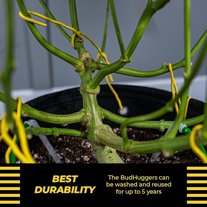 BudHuggers for Optimal Plant Training  50ft (15M)  3mm Thick Garden Wire Ties  Flexible  Durable  Rubber Plant Ties to Yield Bigger Buds, Stronger Branches  Larger Canopies (Yellow)