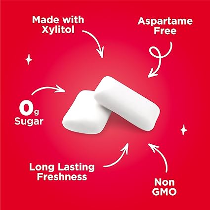 PUR Gum  Aspartame Free Chewing Gum  100 Xylitol  Natural Cinnamon Flavored Gum, 55 Pieces (Pack of 3)