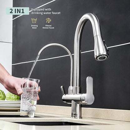 Kitchen Sink Faucet with Pull Down Sprayer 2 Handle 3 in 1 Water Filter Purifier Faucets Brushed Nickel 0195SN