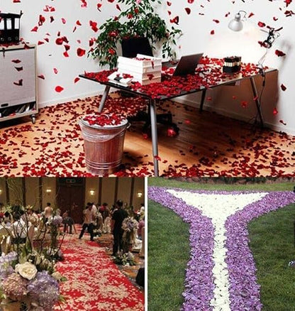 SIWEN Artificial Rose Flower Petals for Valentine's DayWeddingsProposalAnniversaryEngagementParty and Romantic Night Decoration (1000, red)
