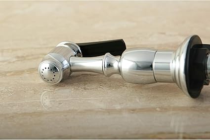 Kingston Brass Gourmetier KBSPR1 Kitchen Faucet Sprayer with Hose, Polished Chrome