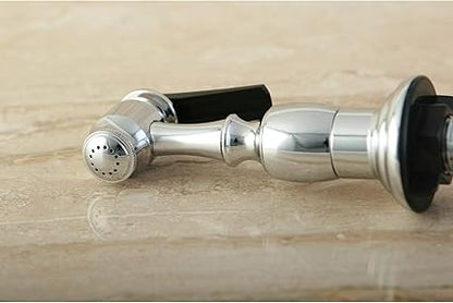 Kingston Brass Gourmetier KBSPR1 Kitchen Faucet Sprayer with Hose, Polished Chrome
