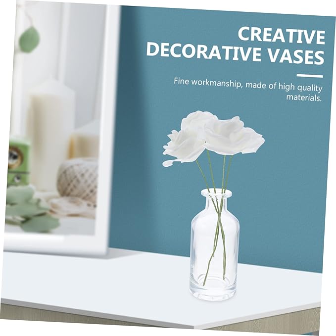 Cabilock 2Pcs 200ml Creative Glass Vases Decorative Hydroponic Flower Bottles for Home Dcor Transparent Shape for Aromatherapy  Floral Arrangements